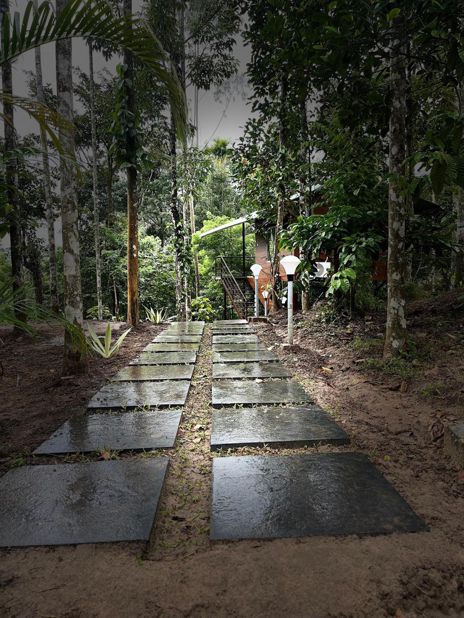 Hotel Cave Valley Wayanad Ambalavayal Esterno foto