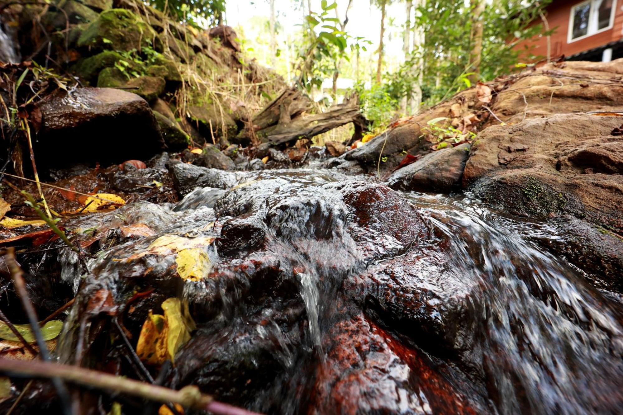 Hotel Cave Valley Wayanad Ambalavayal Esterno foto