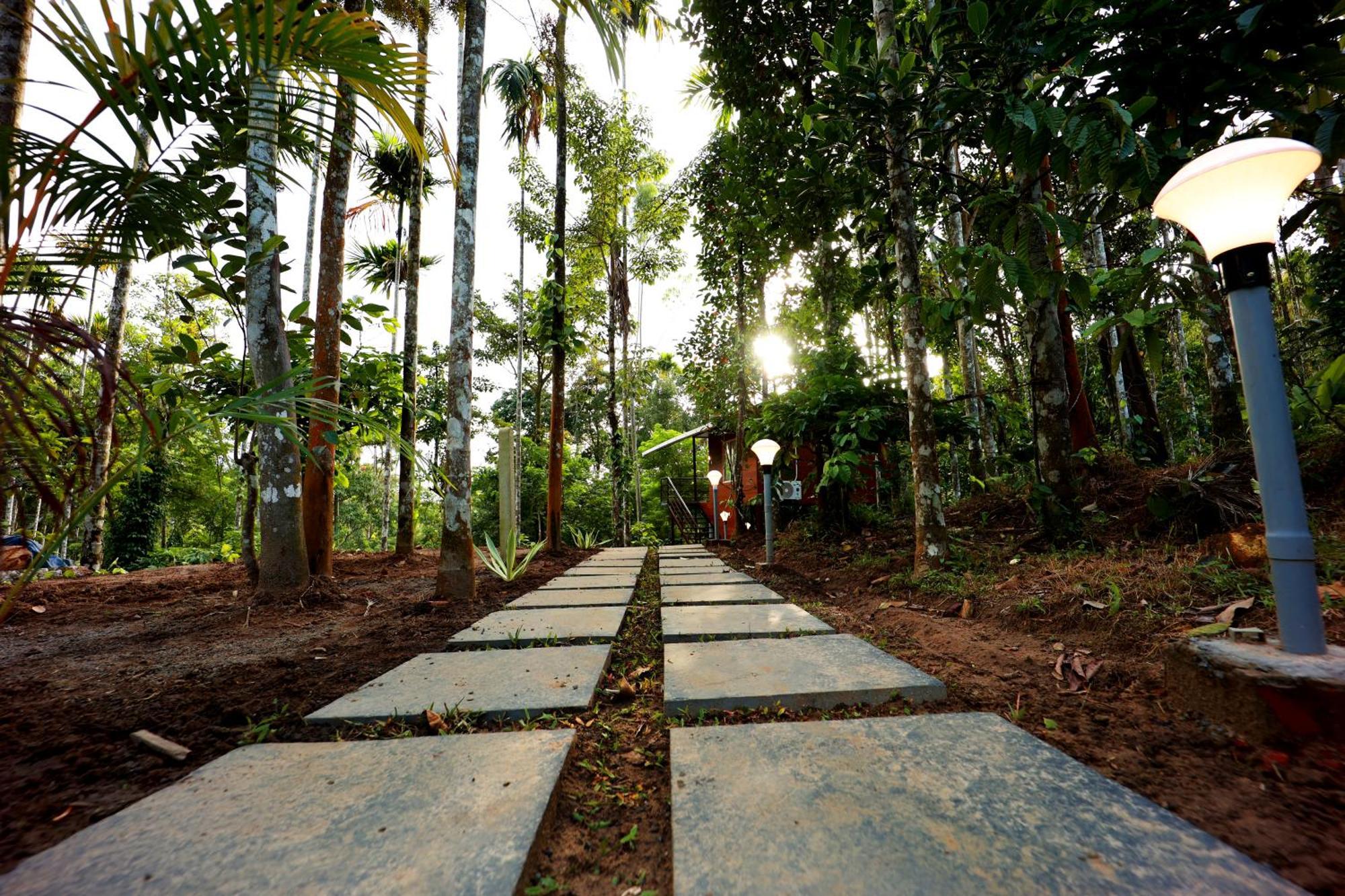 Hotel Cave Valley Wayanad Ambalavayal Esterno foto