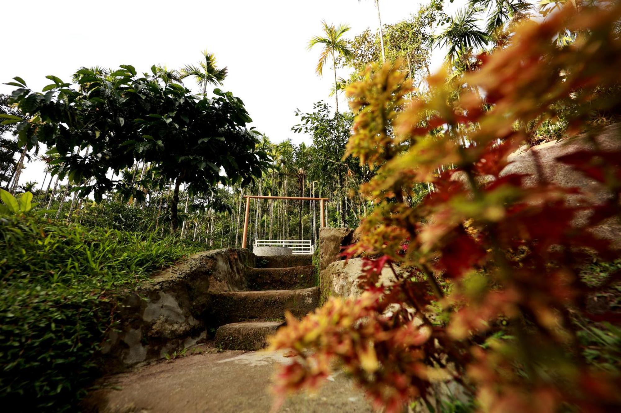 Hotel Cave Valley Wayanad Ambalavayal Esterno foto