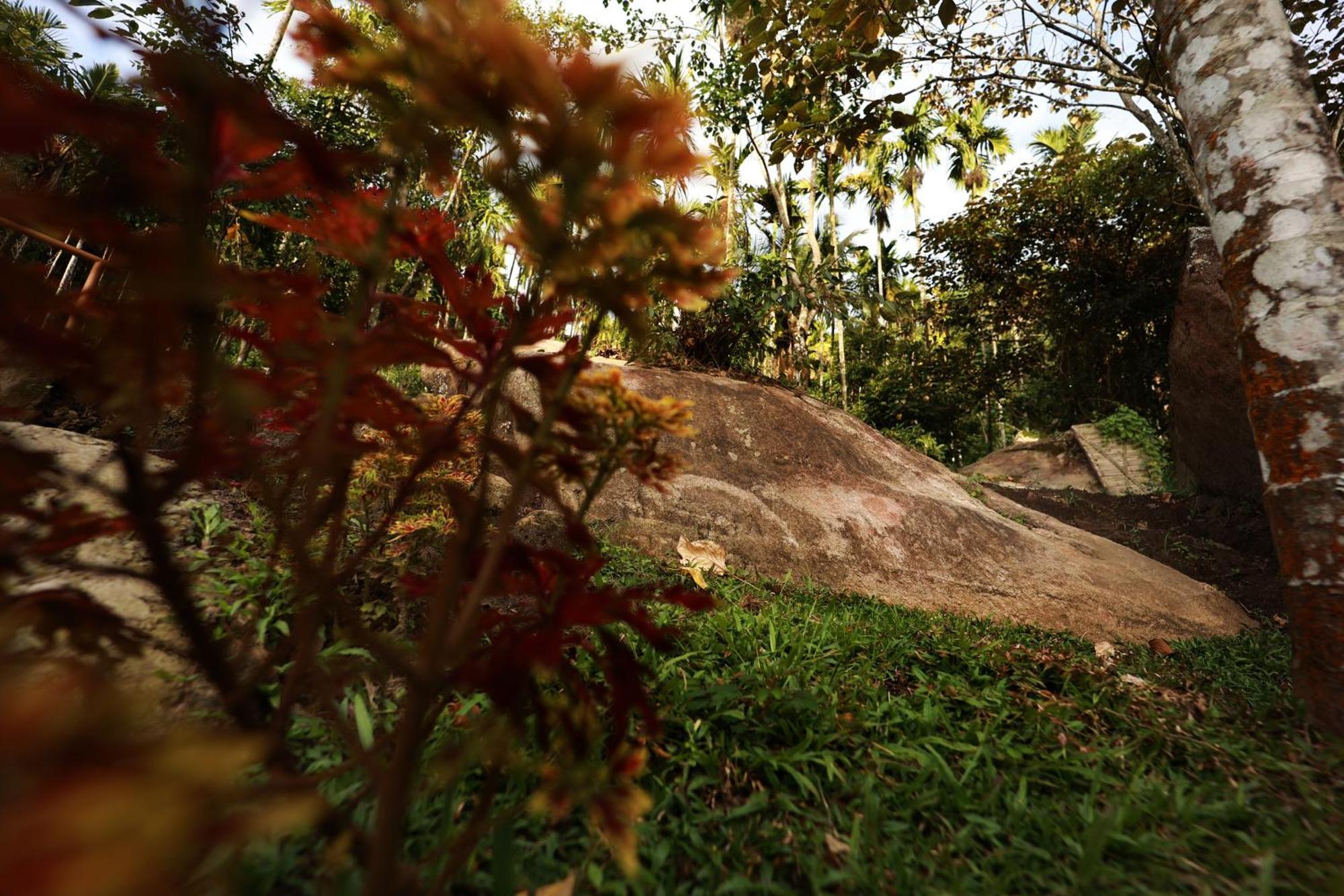 Hotel Cave Valley Wayanad Ambalavayal Esterno foto